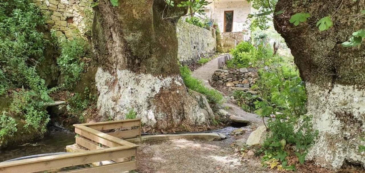 Platanus House Vila Meskla Exterior foto